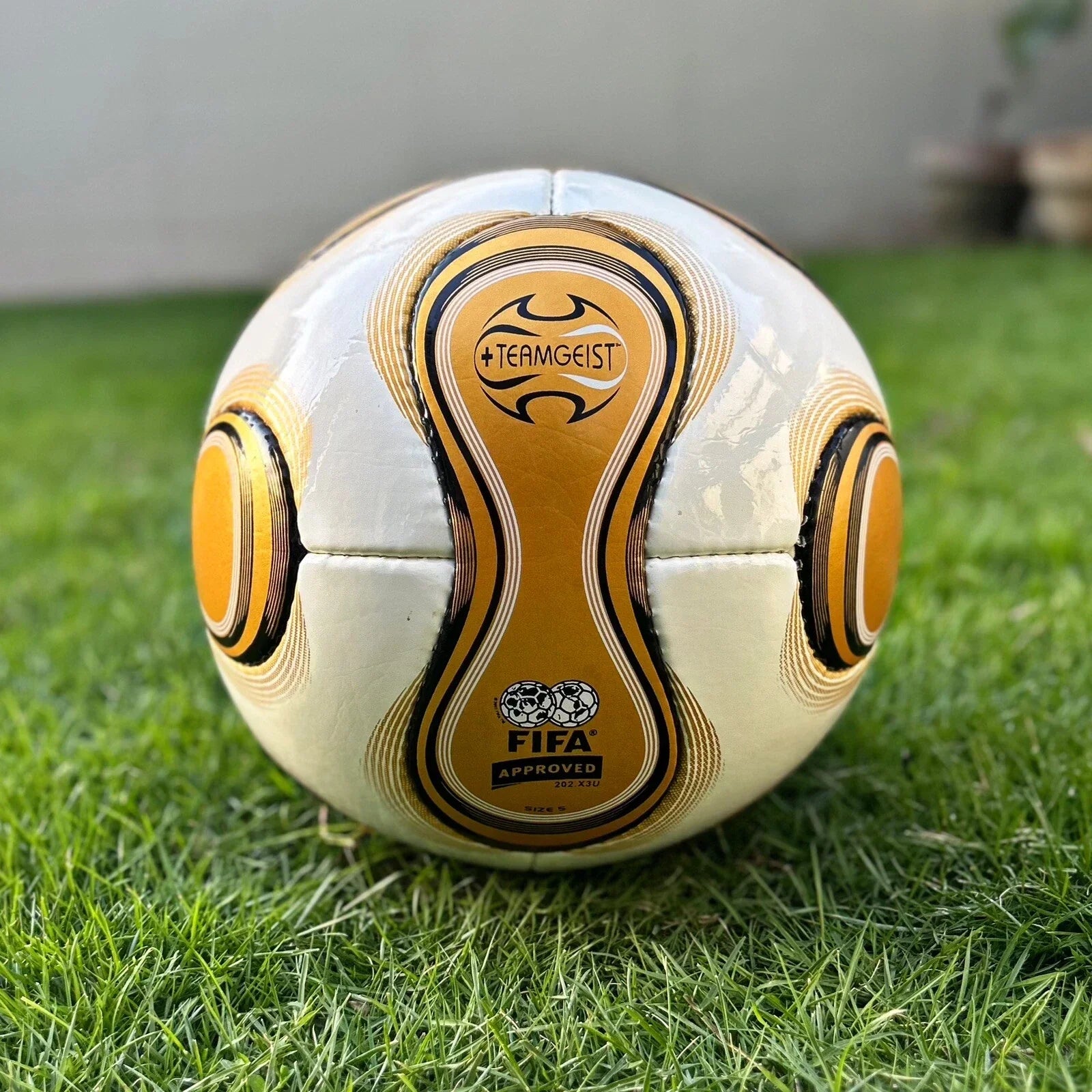 Teimgeist Football Fifa Worldcup 2006 Official Match Soccer Ball Size 5
